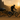 Ridevera-5